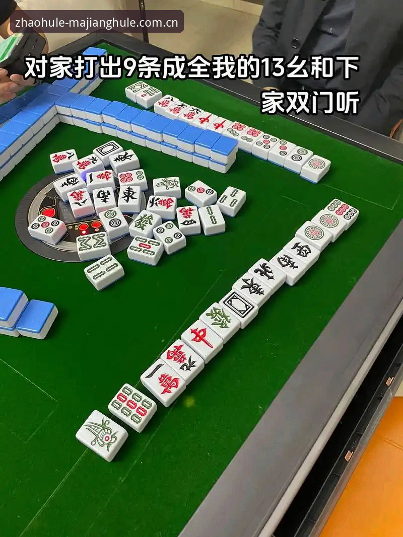 麻将胡了官方渠道下载不了怎么办 麻将胡了官方渠道下载不了怎么办?2024稳定访问深度分析与解决方案